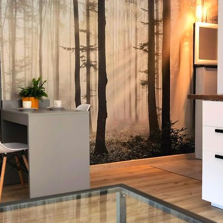Apartament Sosnowa Puławy Eksteriør bilde