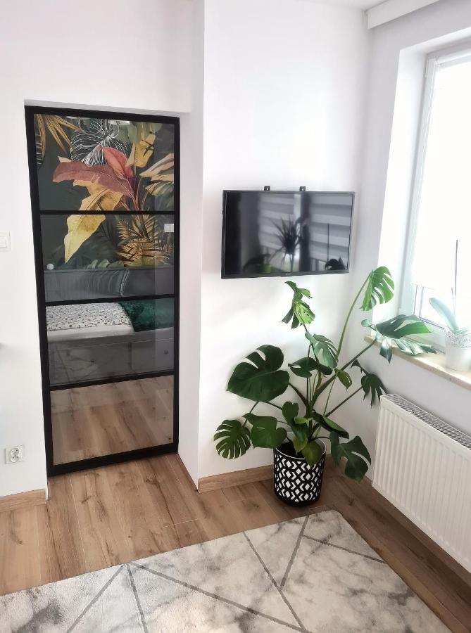 Apartament Sosnowa Puławy Eksteriør bilde