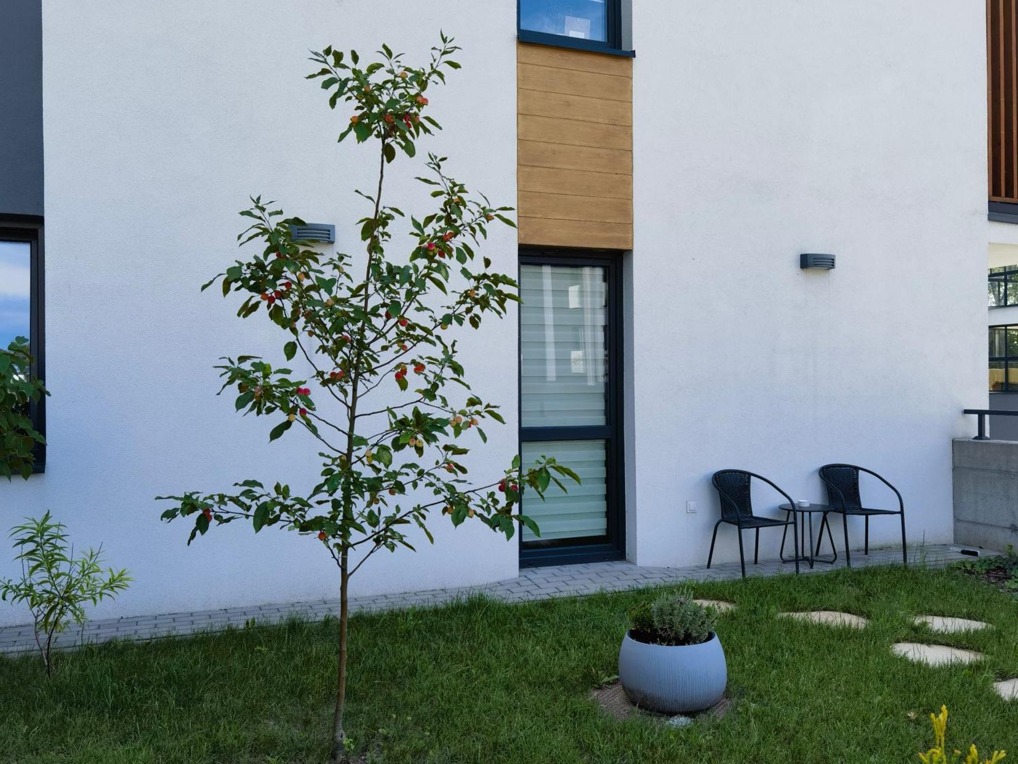 Apartament Sosnowa Puławy Eksteriør bilde